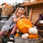 Zog appears in an Eden Project pumpkin